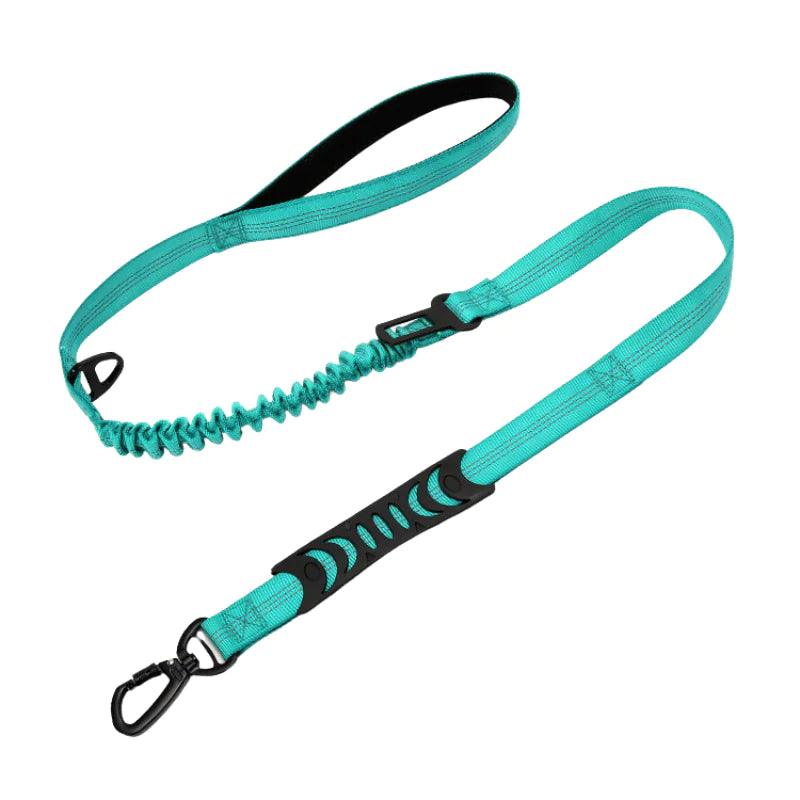 PuppHub Signature Leash - Onemart