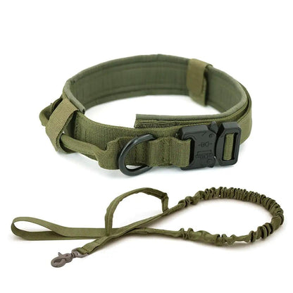 Dog Collar - Onemart