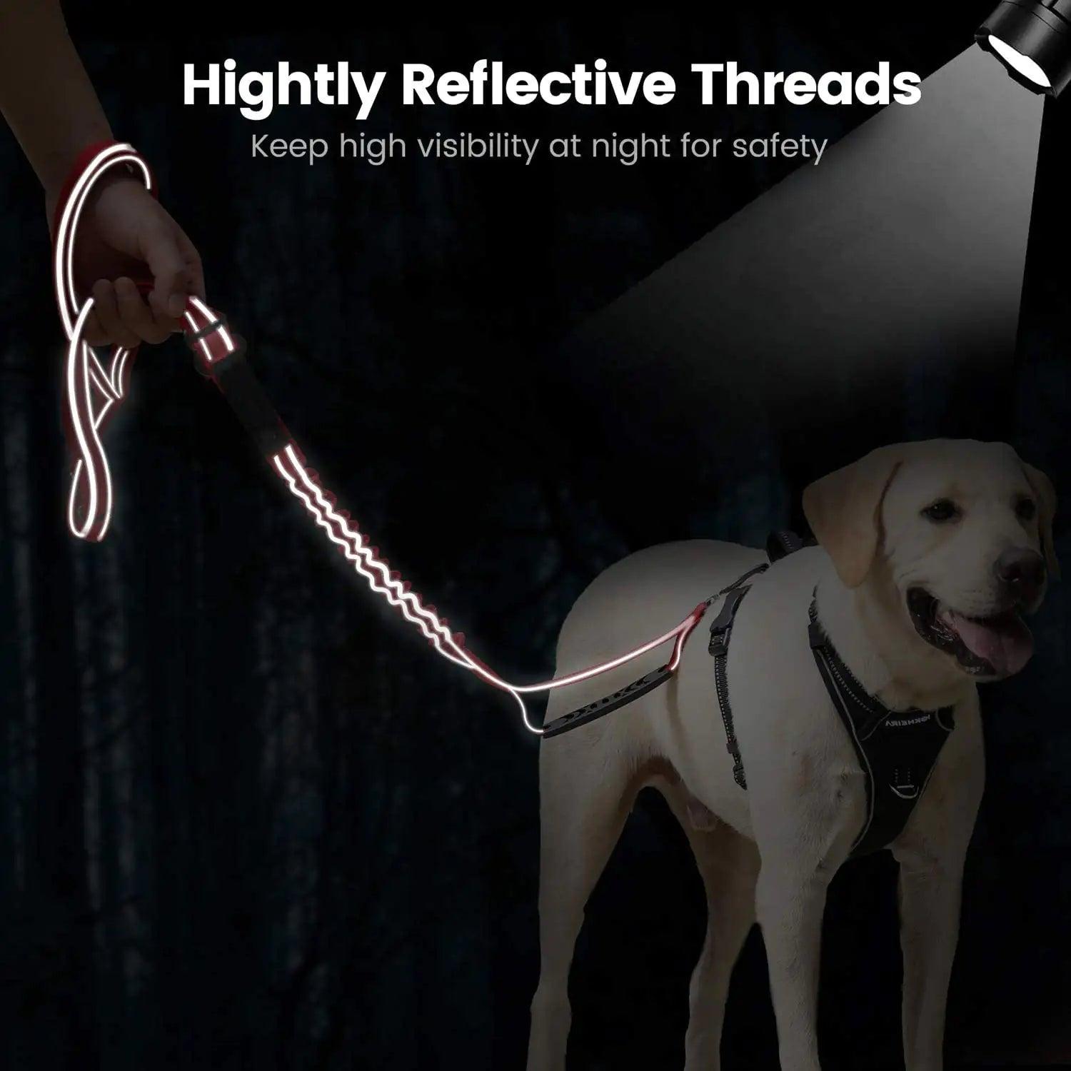 PuppHub Signature Leash - Onemart