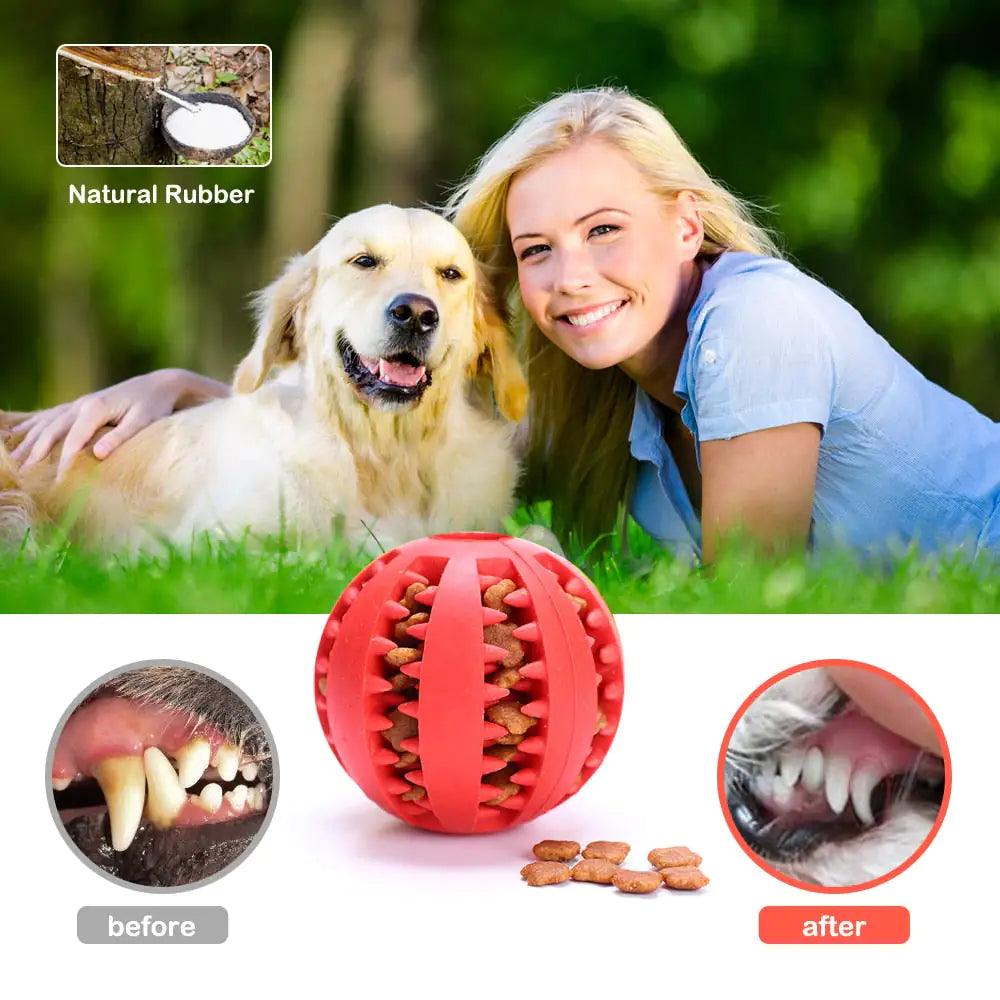 Interactive Pets Rubber Balls - Onemart