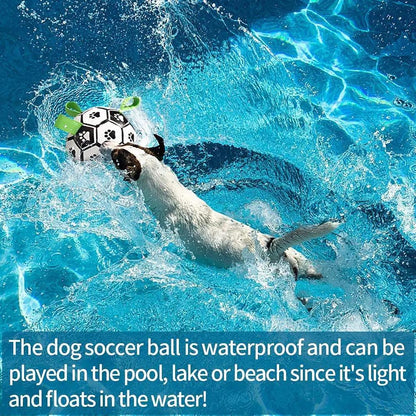 Interactive Dog Football - Onemart