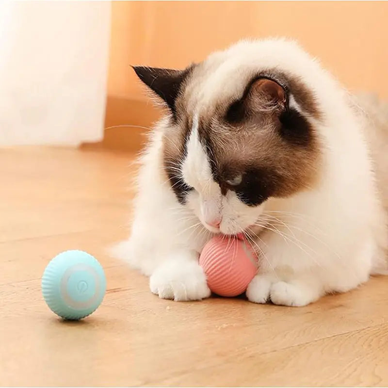Electric Smart Ball Toys for Pets - Onemart