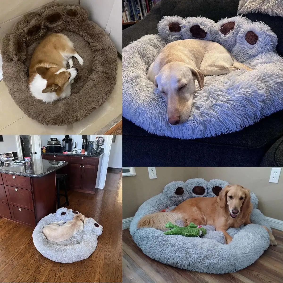Pet Dog Sofa Beds - Onemart