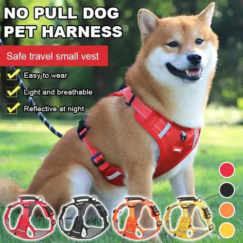 Dog Walking Harness - Onemart