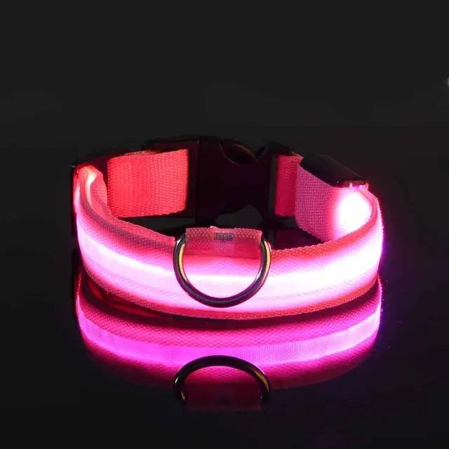 Flashing Glow Dog Collar - Onemart