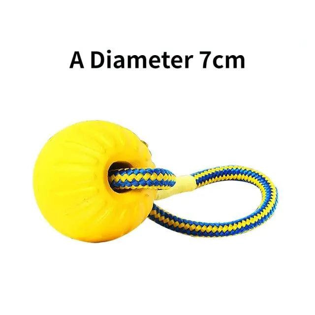 Dog Training Ball on Rope - Onemart