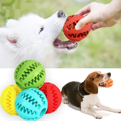 Interactive Pets Rubber Balls - Onemart