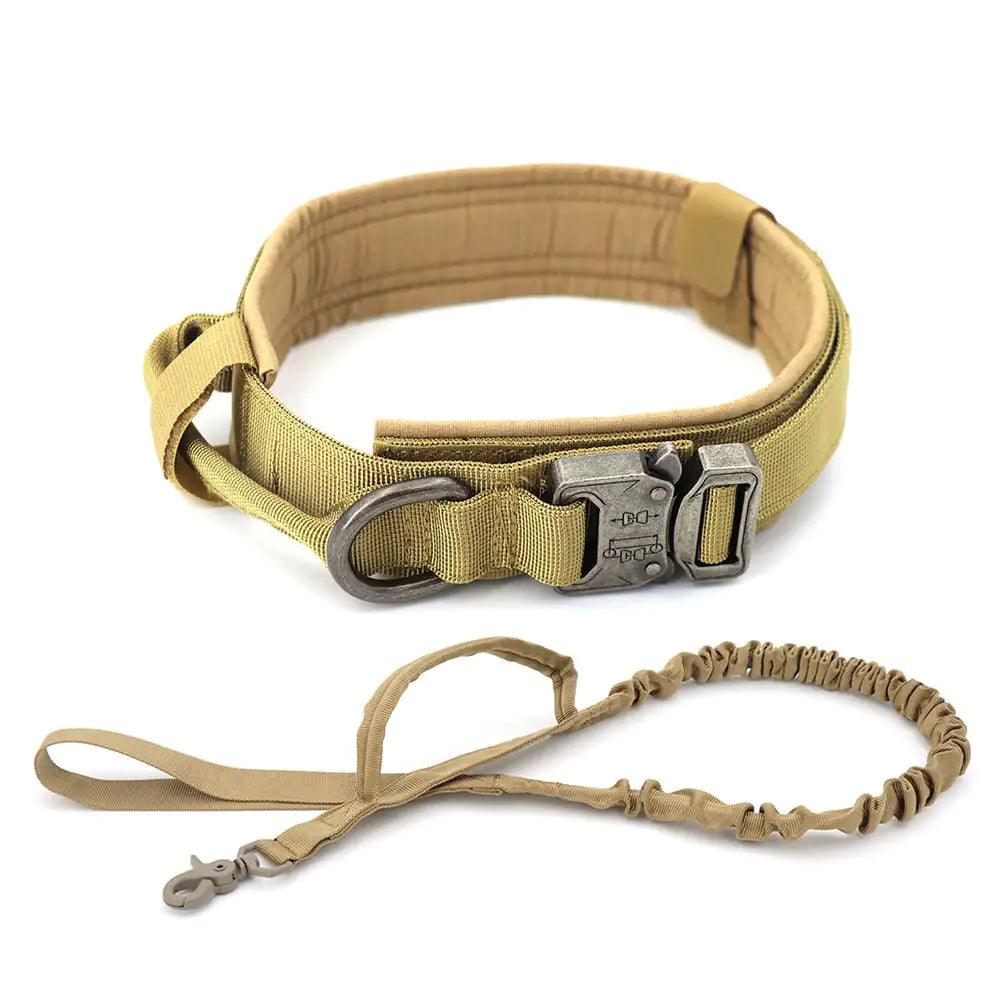 Dog Collar - Onemart