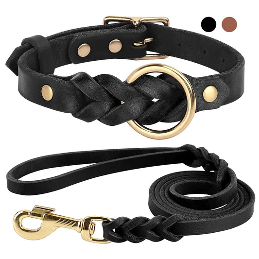 Dog Collar and Leash Set - Onemart