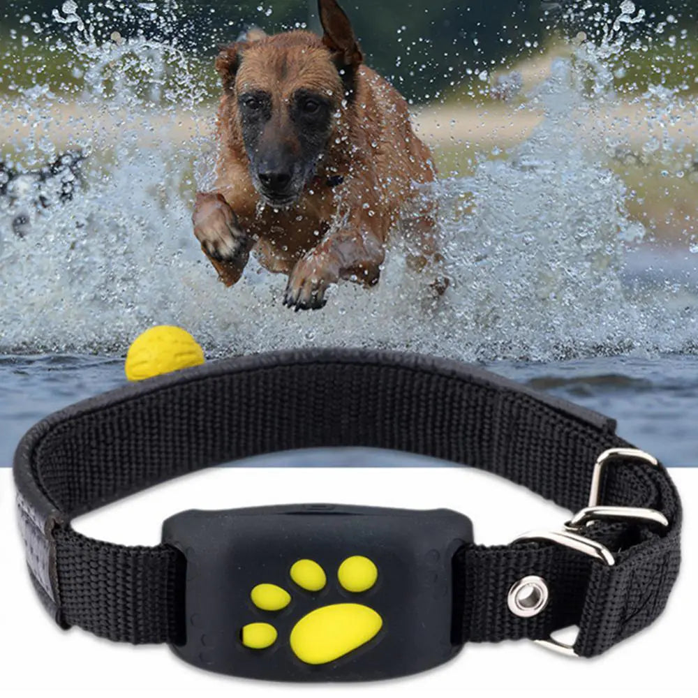 Pet GPS Tracker Collar - Onemart