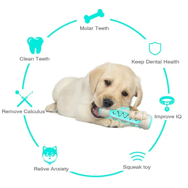 Dog Toothbrush & Anti-Stress Combo - Onemart