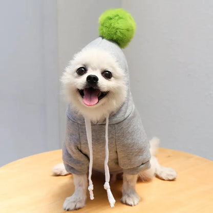 Puppy Tailored Fruitwear - Onemart