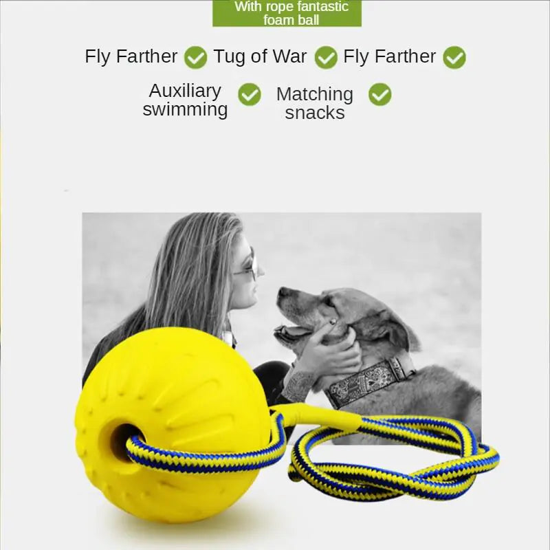 Dog Training Ball on Rope - Onemart
