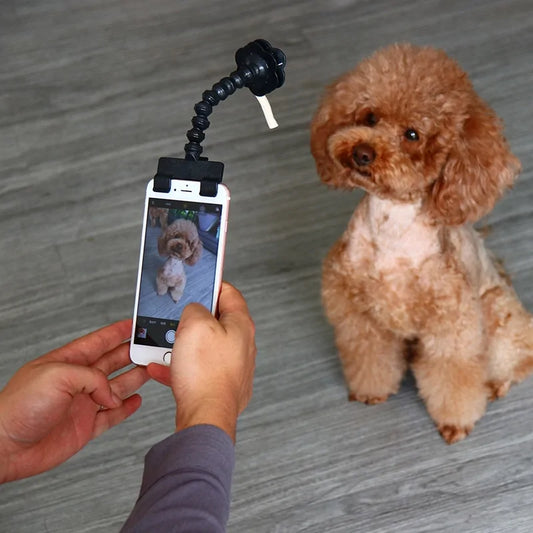 Selfie Stick for Pets Dog Cat - Onemart