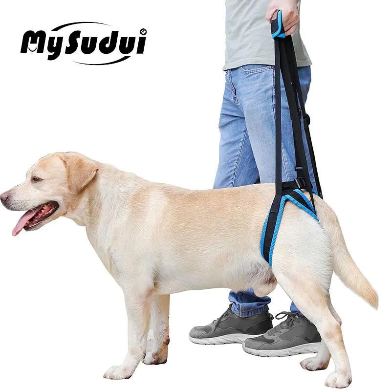 Adjustable Dog Lift Harness For Back Legs - Onemart