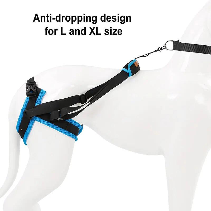 Adjustable Dog Lift Harness For Back Legs - Onemart