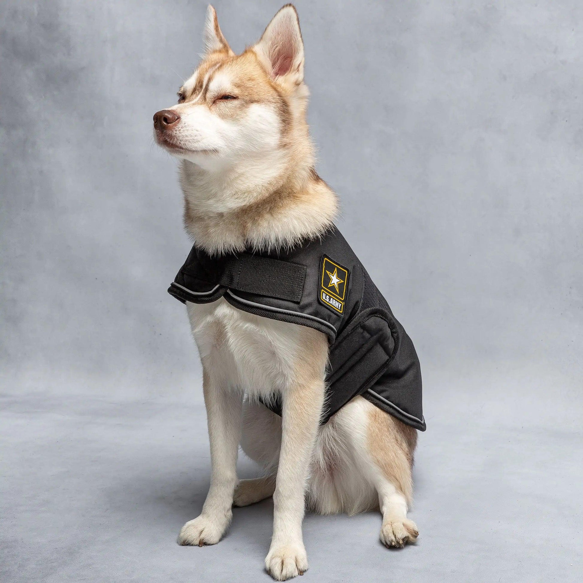 Army Dog Blanket Jacket - Onemart