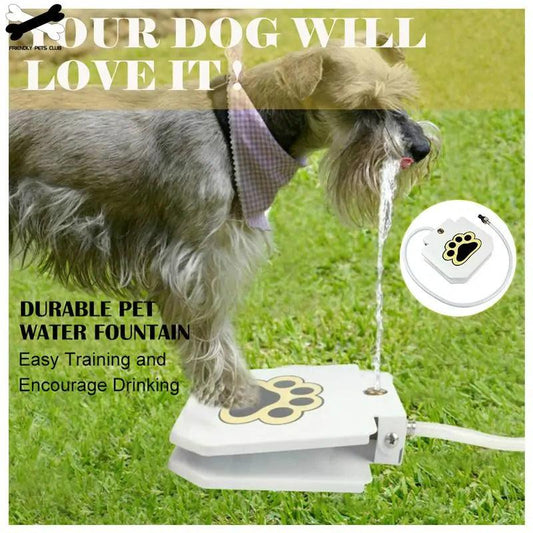 Automatic Dog Drinking Fountain - Onemart