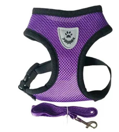 Dog Harness - Onemart