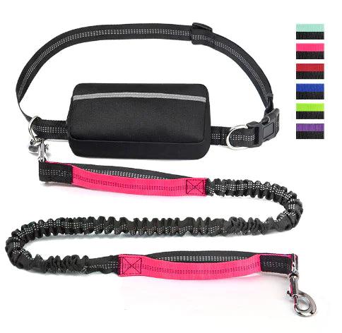 Canine Waist Pack - Onemart