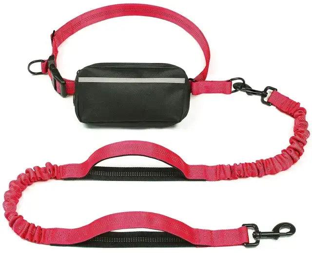 Canine Waist Pack - Onemart