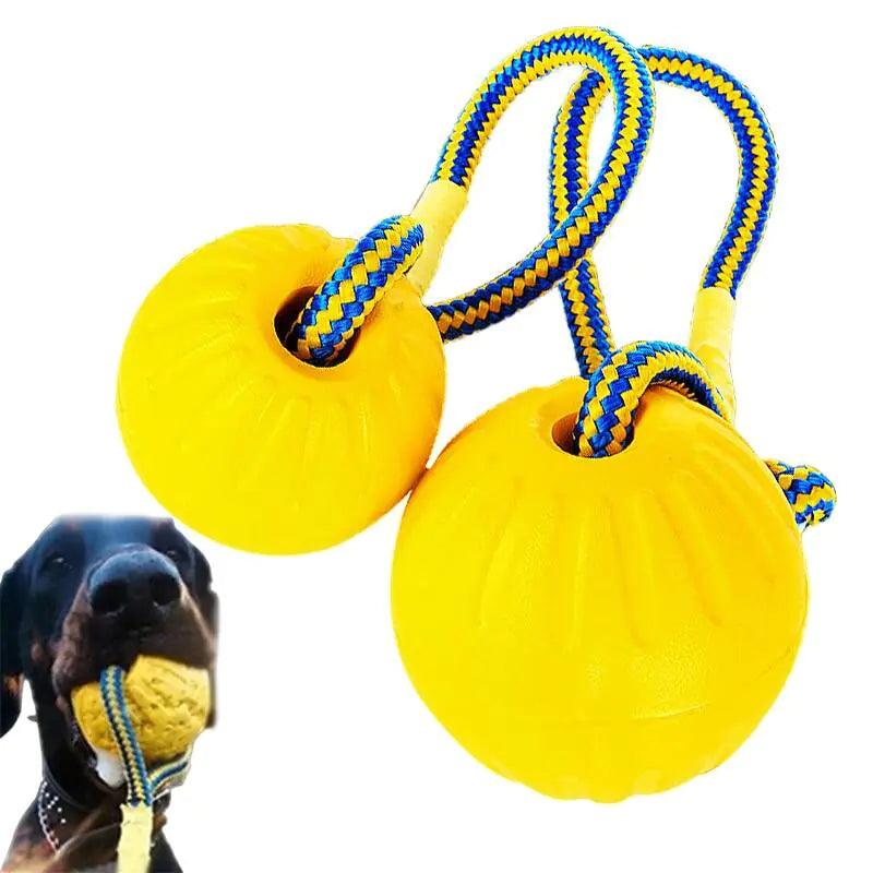 Dog Training Ball on Rope - Onemart