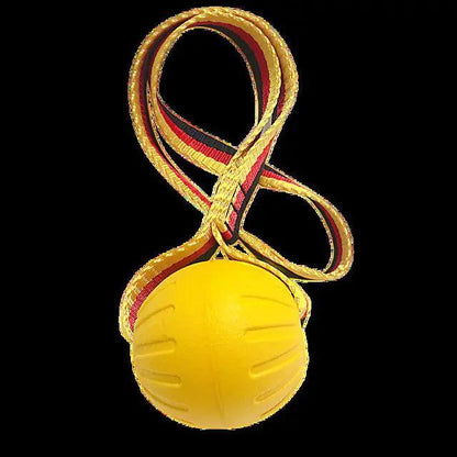 Dog Training Ball on Rope - Onemart