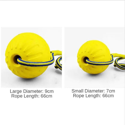 Dog Training Ball on Rope - Onemart