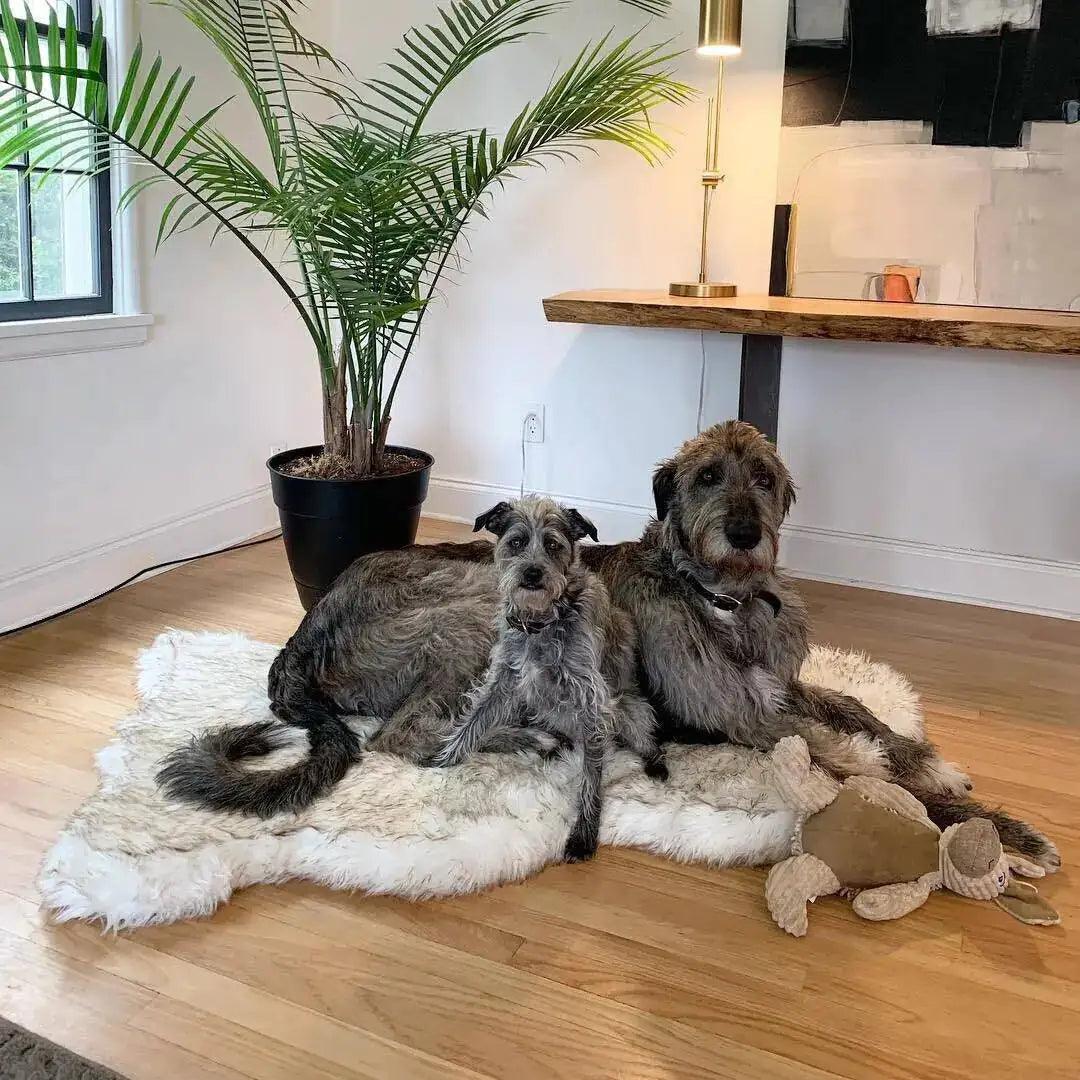 Faux Fur Dog Bed - Onemart