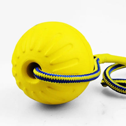 Dog Training Ball on Rope - Onemart