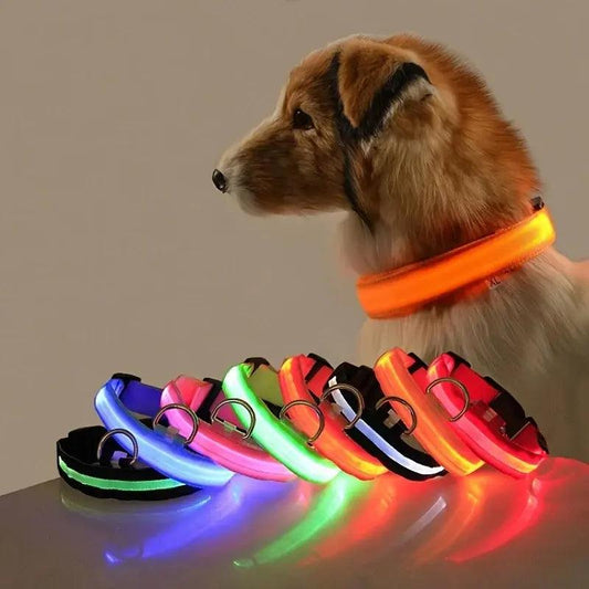 Flashing Glow Dog Collar - Onemart