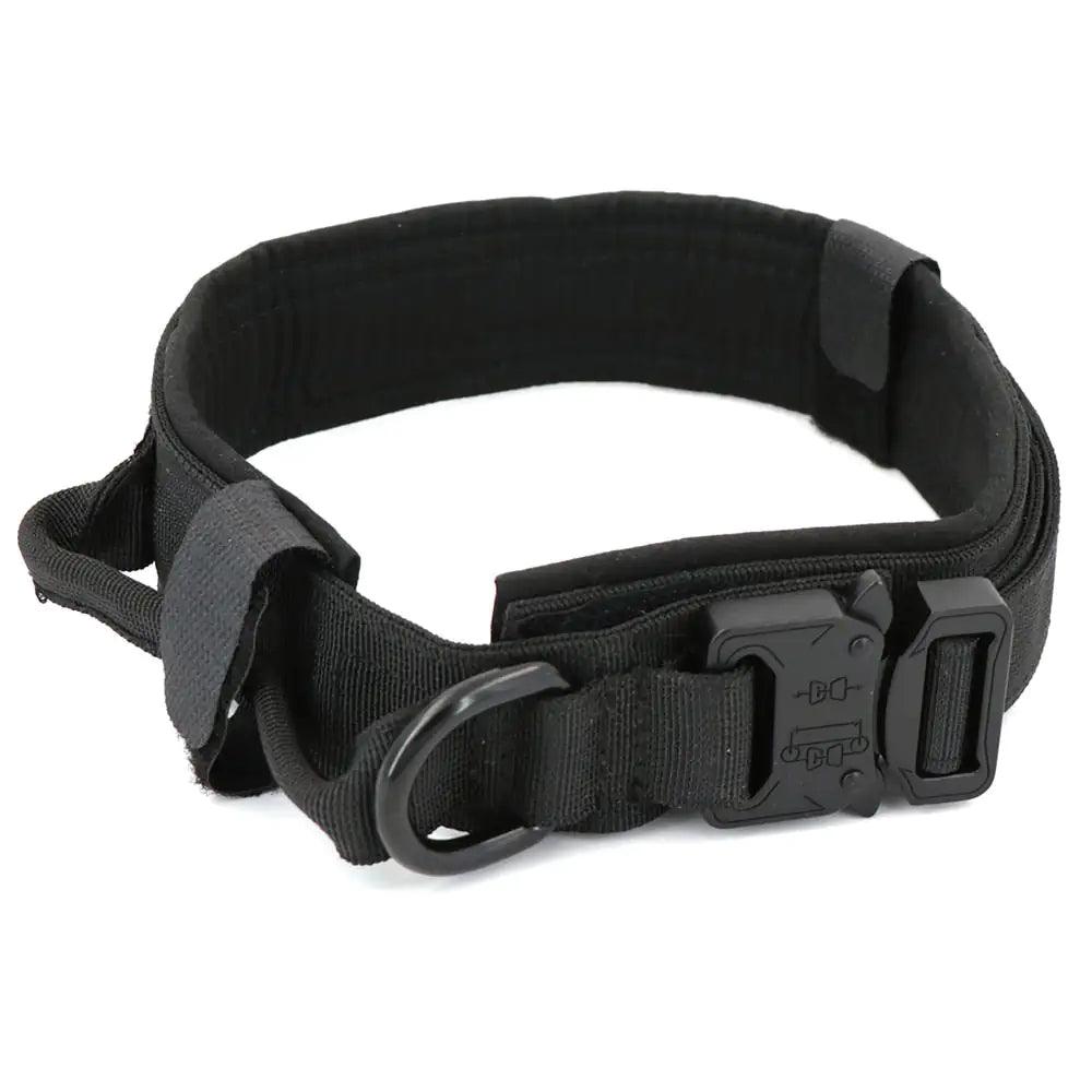 Dog Collar - Onemart