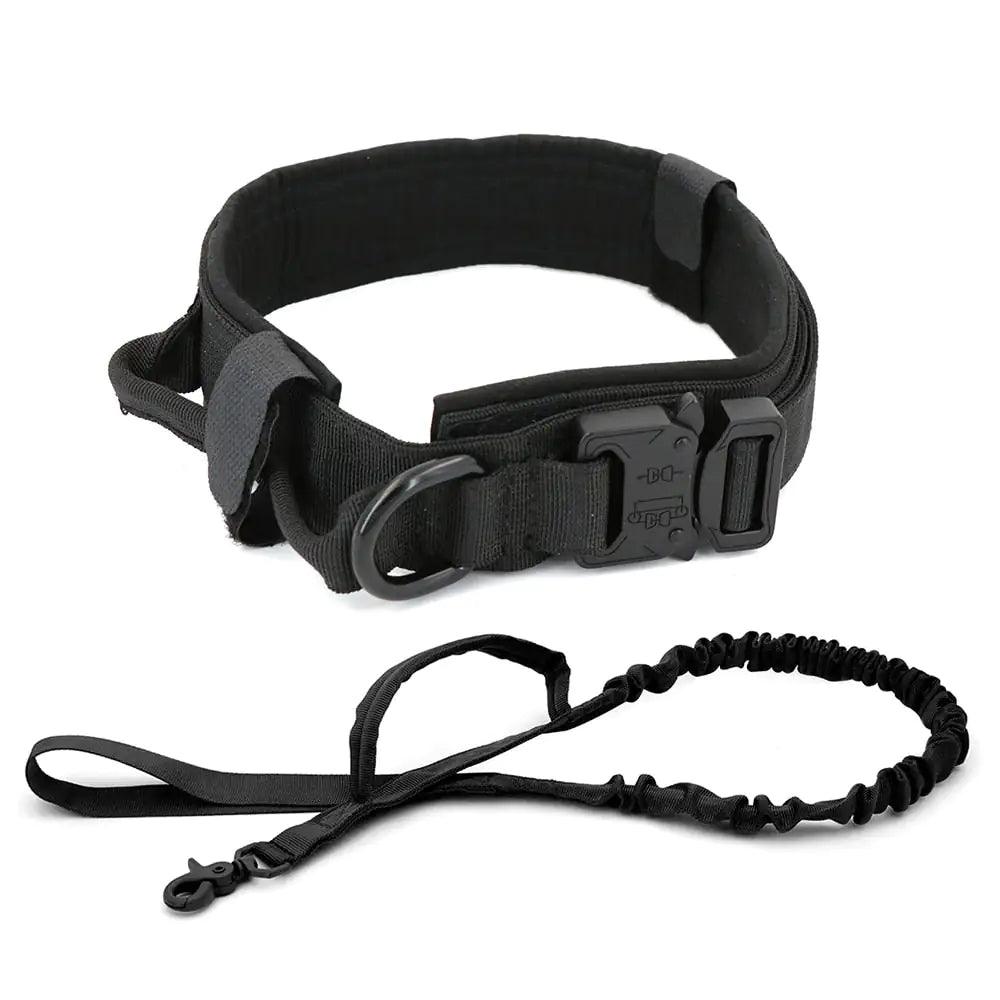 Dog Collar - Onemart