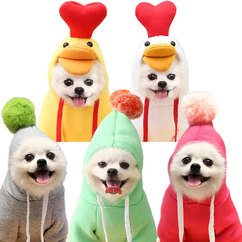 Puppy Tailored Fruitwear - Onemart