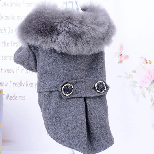 Pet Fur Collar Jacket - Onemart