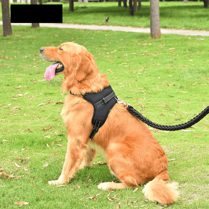 Pet Walking Harness: Adjustable Comfort - Onemart