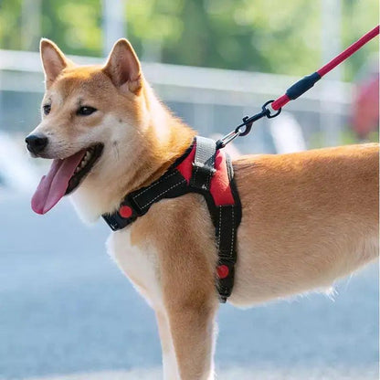 Pet Walking Harness: Adjustable Comfort - Onemart