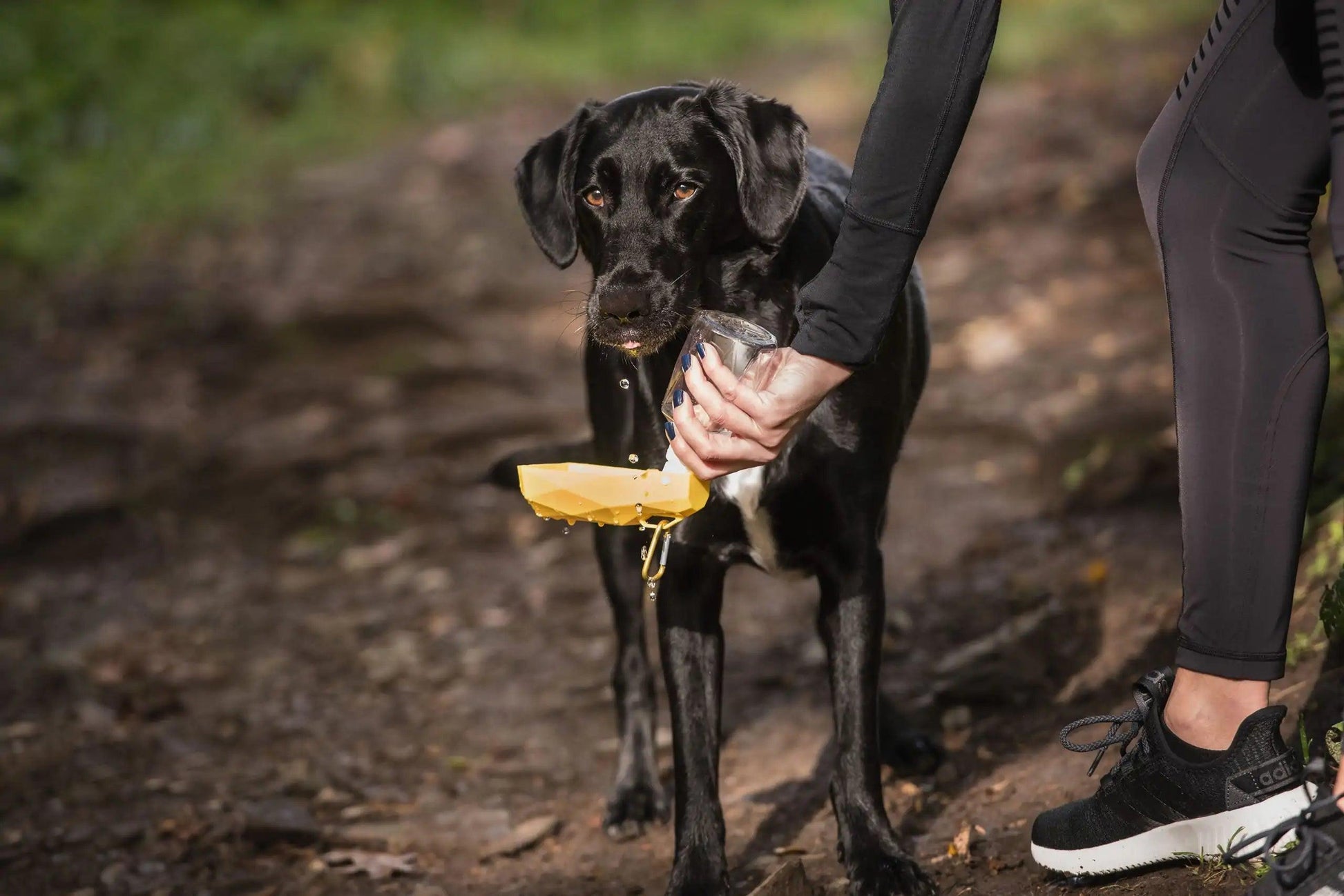 Pet Water Bottle - Onemart