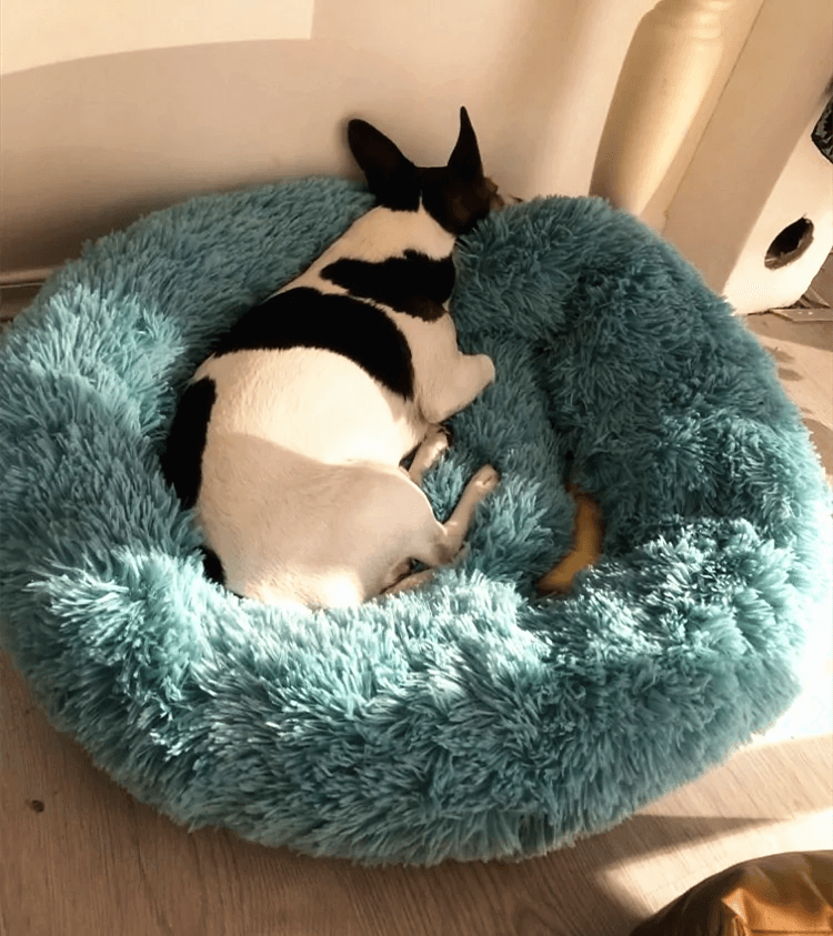 Plush Round Dog Bed - Onemart