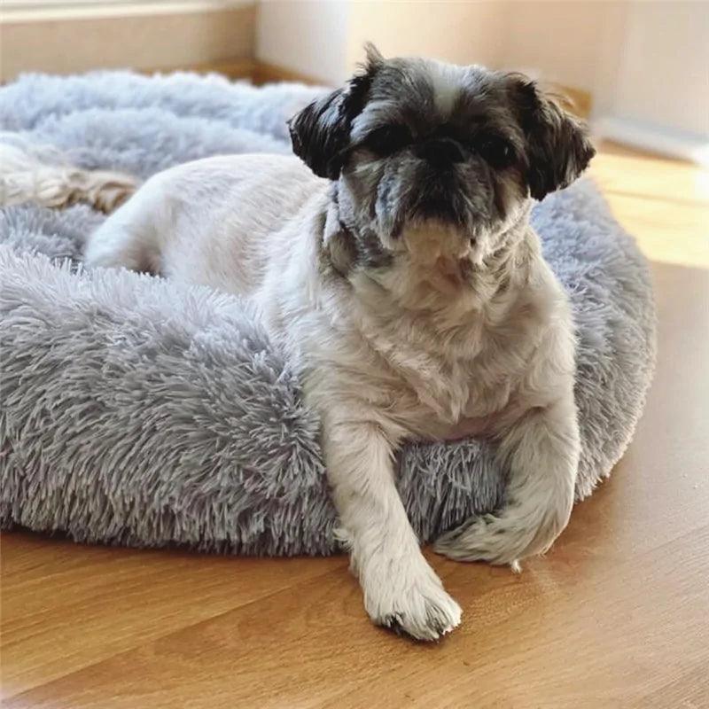 Plush Round Dog Bed - Onemart