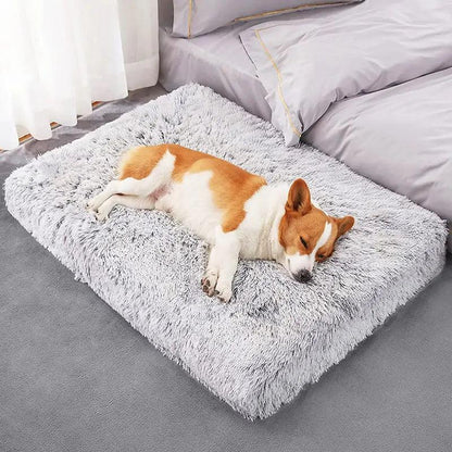 Plush Washable Dog Bed - Onemart