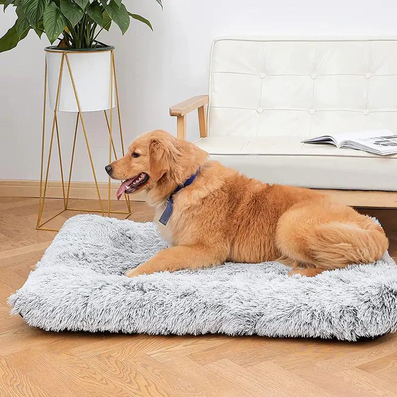 Plush Washable Dog Bed - Onemart