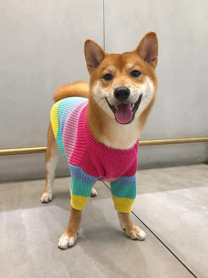 Puppy Knitted Rainbow Sweater - Onemart