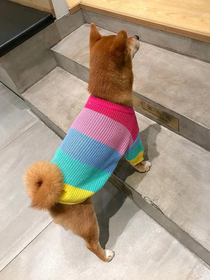 Puppy Knitted Rainbow Sweater - Onemart