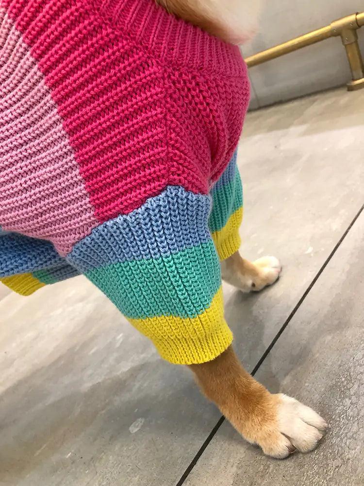 Puppy Knitted Rainbow Sweater - Onemart