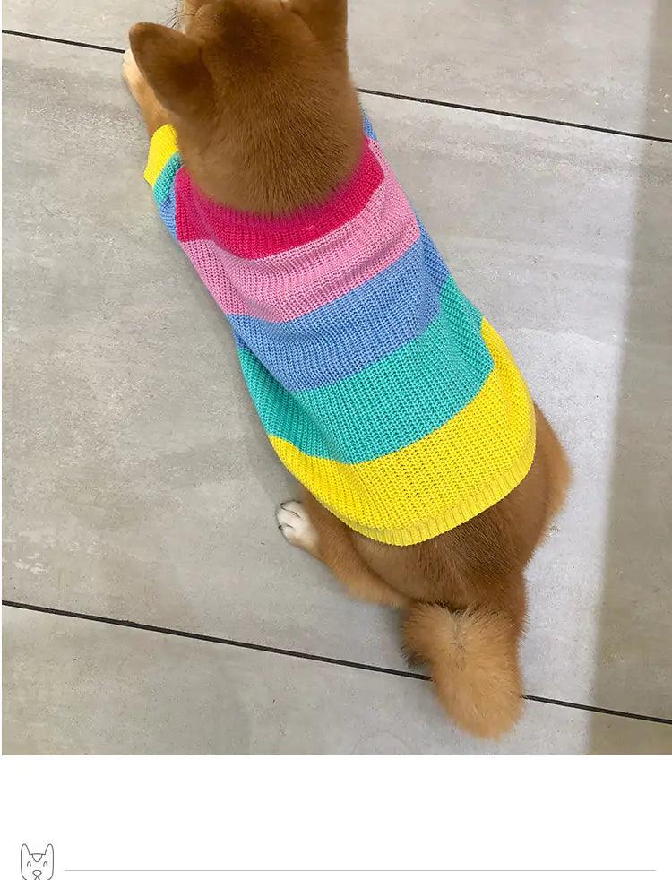 Puppy Knitted Rainbow Sweater - Onemart