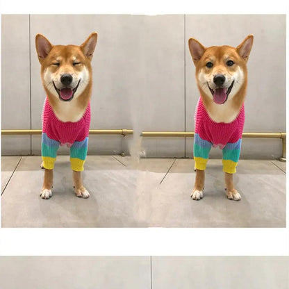 Puppy Knitted Rainbow Sweater - Onemart