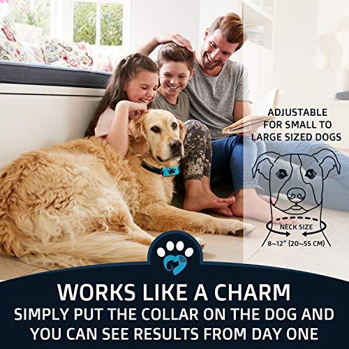 PuppySpot™ Anti Barking Training Collar - Onemart