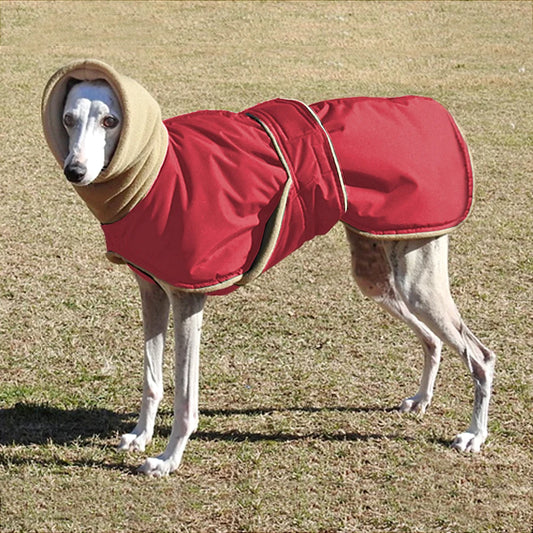 Super Warm Thick Dog Clothes - Onemart