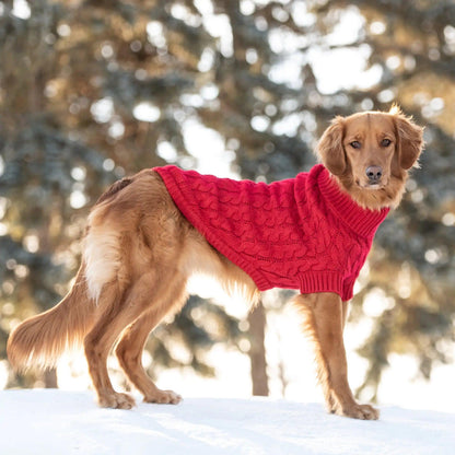 Red Chalet Dog Sweater - Onemart